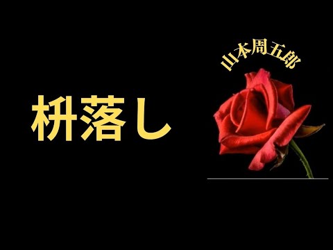 【人情時代劇】【朗読】枡落し   山本周五郎作　朗読　芳井素直