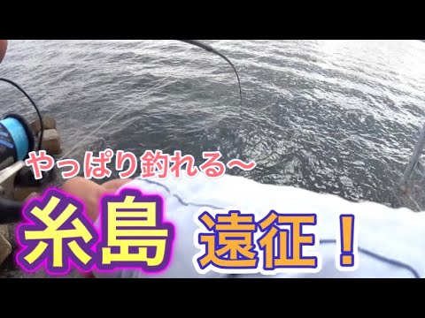 【福岡】宗像から糸島の漁港まで遠征して来ました！！やっぱ魚影濃いわぁ〜【6釣目】