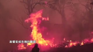 【預告】0413 燃燒的澳洲-野火中的家園｜公視我們的島