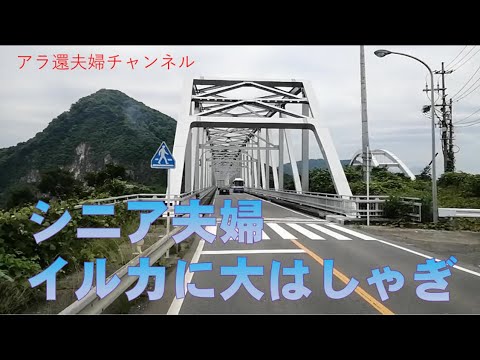 熊本(天草)でイルカウォッチングに歓声をあげました。何もかも忘れて、野生のイルカに没頭した時、旅を始めて本当に良かったと思えた。