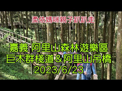 嘉義阿里山森林遊樂區 巨木群棧道/阿里山吊橋 2023/6/23-04