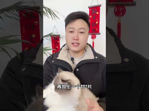 可乐，可以救猫命，你不会不知道吧。新手养猫 科学养宠攻略 养猫人 宠物驱虫 养猫经验分享