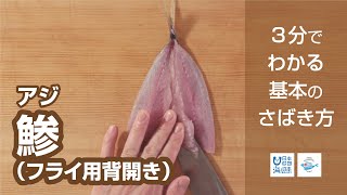 鯵（あじ）のさばき方 フライ用 背開き - How to filet Horse Mackerel ver.Sebiraki for deep‐fry -日本さばけるプロジェクト 海と日本プロジェクト