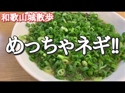 【和歌山】和歌山城がめっちゃ良かった！ネギたっぷりのラーメン屋さんも行ったよ！