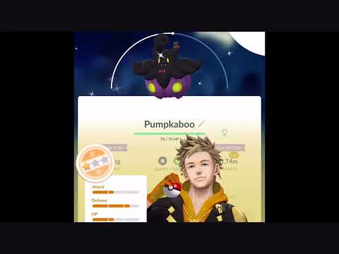 i caught a shiny pumkaboo