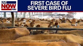 CA declared an emergency, how serious is bird flu?  | LiveNOW from FOX