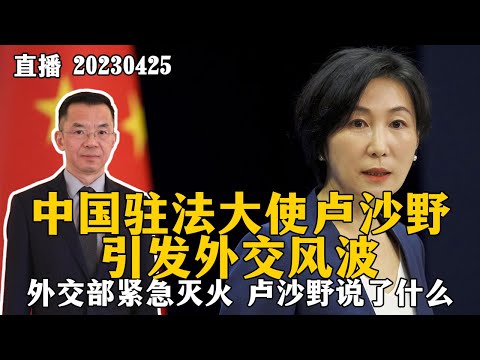 中国驻法大使卢沙野引发外交风波，中国外交部紧急灭火，卢沙野说了什么？20230425【直播回放】