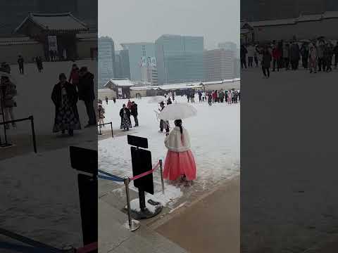 경복궁 폭설과 한복입은 사람들 Snowy Seoul Gyeongbokgung Palace