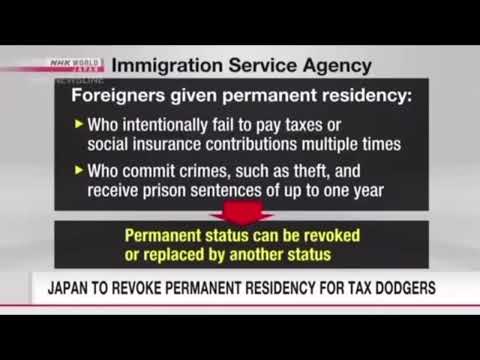 japan immigration law review