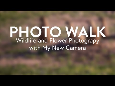 Photo Walk | Wildlife and Flower Photography with My New Camera