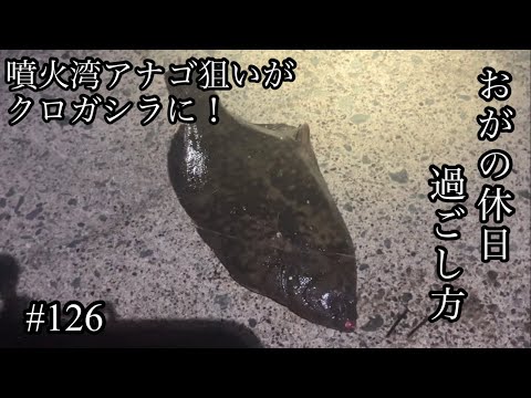 オガの休日過ごし方#126噴火湾アナゴ狙いがクロガシラに！