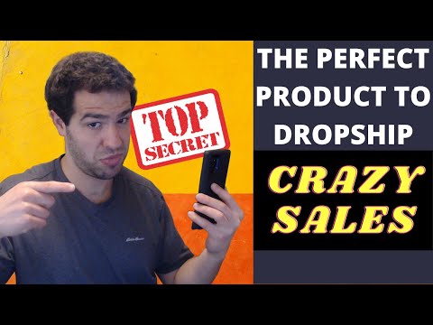 The Perfect Product To Dropship (Crazy Sales & Massive Profits)