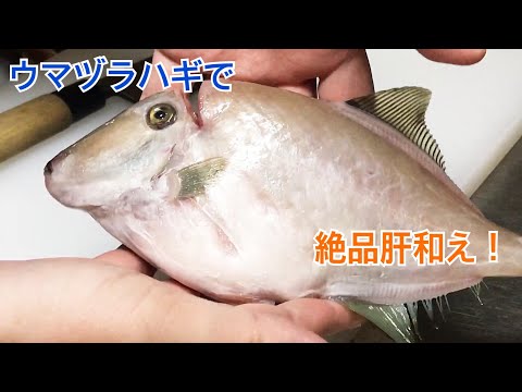 【再掲載】ウマヅラハギで肝和え作って見た！