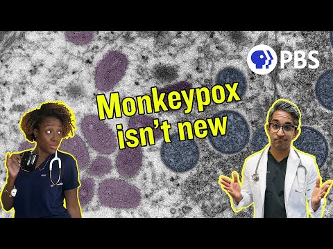 What is Monkeypox and How Does it Spread?