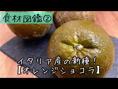 【食材図鑑】２.イタリア産の新種、オレンジショコラOrange chocolat/ Chocolate orange #Shorts