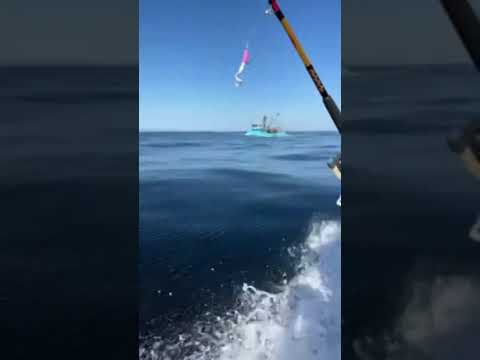 Commercial Fishing Boat On Pacific Ocean. #commercial #fishing #saltwater #pacificocean #oregon