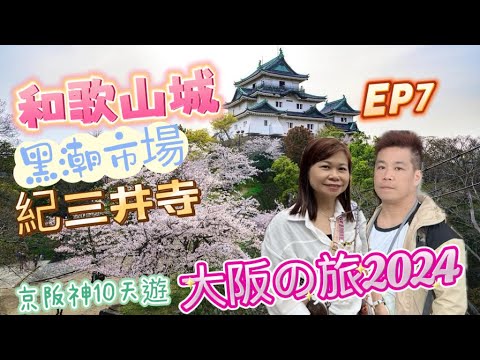 【🇯🇵京阪神10天遊2024】和歌山城｜黑潮市場｜紀三井寺EP7