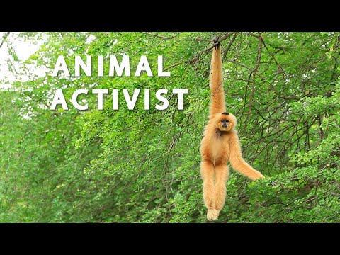 Animal Activist