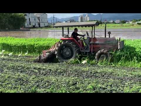 節氣之「白露」農夫忙耕耘養地