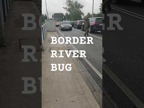 Border River Bug #travelvlog #border #poland #belarus #europe #bug #river