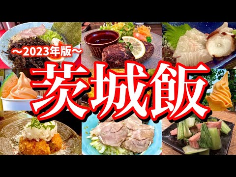 【念願】日本一のラーメンショップ&旬のメロンを求めて茨城へ！レンタカーで巡る1泊2日の茨城グルメ旅が最高過ぎた！(牛久/水戸/鉾田)