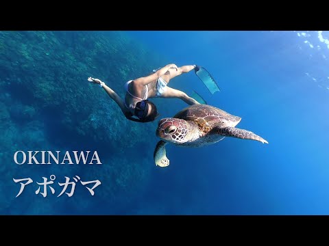 Snorkeling at the Mermaids Grotto Apogama in Okinawa｜シュノーケリング＠沖縄本島アポガマ