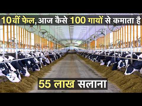 Successful dairy farmer / 100 Cows complete गोशाला business model