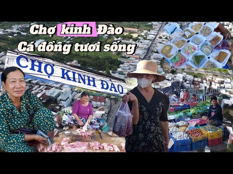 Chợ Kinh Đào Cá Đồng tươi sống siêu ngon . Thành Phố Châu Đốc. An Giang