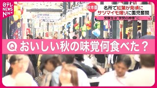 【“秋の味覚”何食べた？】サンマに焼き芋 栗のスープ！  “食欲の秋”も本番