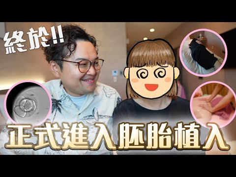 打了上百支針終於！試管嬰兒植入流程紀錄，歷經二年的結果終於要進行植入胚胎了《阿倫育兒記》