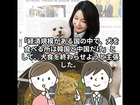 犬を食べるのは中国と韓国だけ？ 愛犬家の大統領夫人が禁止訴える【ニュースで韓国語】(1) #shorts