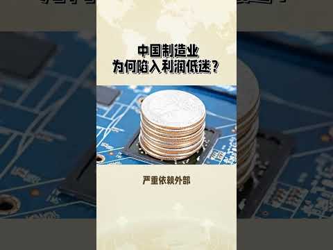 中国制造业为何陷入利润低迷？