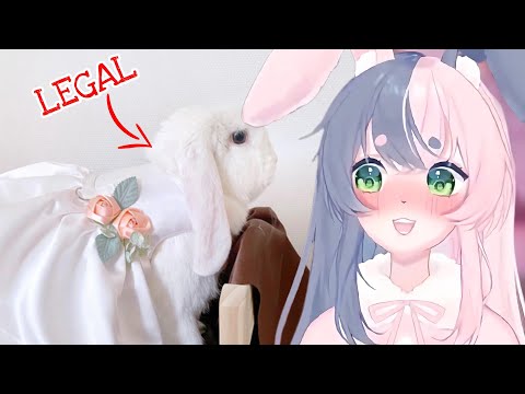 According to Punkalopi, it is legal to marry a rabbit