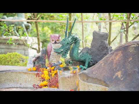 白山神社　愛知県日進市