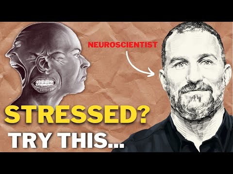 Neuroscientists: Simple Trick To Calm Down Immediately | Andrew Huberman.