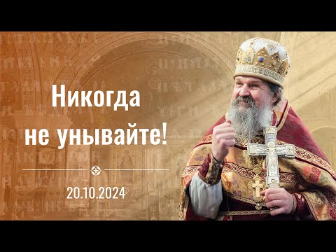 Никогда не унывайте! Проповедь прот. Андрея Лемешонка 20 октября 2024 г.