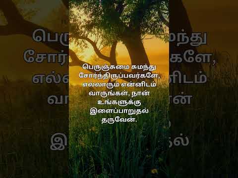 இதை சொன்னவர் யார்? இன்றைய மன்னா.. Bible verse for the day! #bibleversetodayintamil #bibleverse