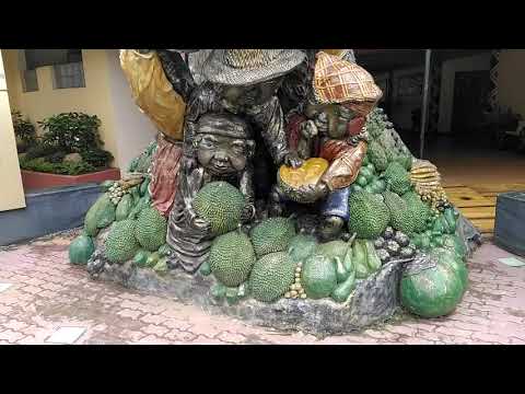 People's Park in Davao Philippines | Tiny Clip