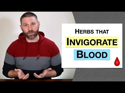 🌿 Herbology 2 Review - Herbs that Invigorate the Blood (Extended Live Lecture)