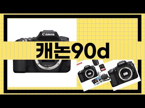 캐논90D 완벽 리뷰! DSLR 초보부터 전문가까지의 선택 가이드