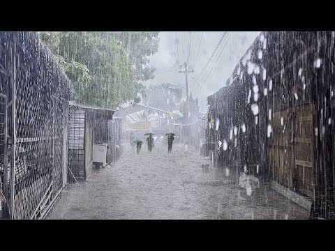 Heavy rain and thunder sounds village | very cold | fall asleep to the soothing sound of heavy rain