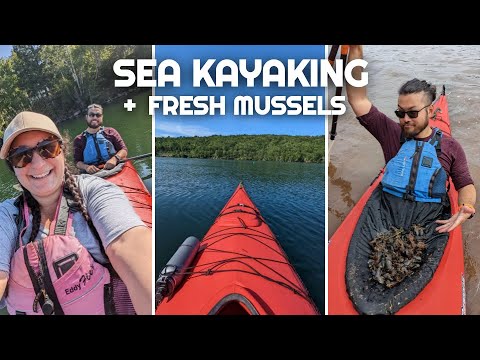 EPIC Kayaking Adventure in Cape Breton! | North River Kayaks | Sea Kayaking the Canadian East Coast