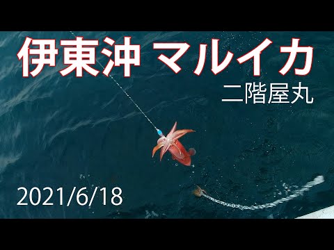 マルイカ 伊東沖に初挑戦 二階屋丸 宙＆ゼロテン アタリ集 釣り方も 2021/6/18