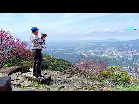 大尖山（又稱為尖山母山）位於新北市汐止區，是台灣小百岳#012.距離市區近，海拔高度親切，路線標示清楚，初春時，可欣賞到滿開的櫻花，還擁有展望大台北的瞭望平台，是台北近郊絕佳景點。