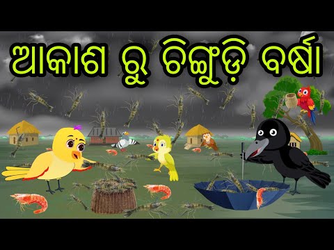 ଆକାଶ ରୁ ଚିଙ୍ଗୁଡ଼ି ବର୍ଷା | Chingudi Barsha | Tiki Chadhei Gapa | Odia Chadhei Gapa | New Story