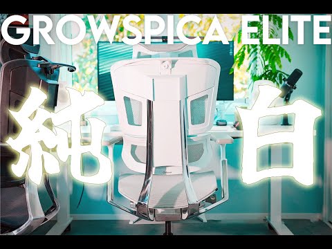 【 純白のオフィスチェア 】GrowSpica Elite Pure White 使用３ヶ月レビュー ※割引クーポンあり