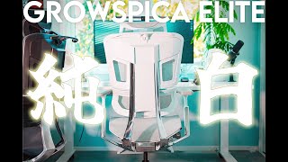 【 純白のオフィスチェア 】GrowSpica Elite Pure White 使用３ヶ月レビュー ※割引クーポンあり