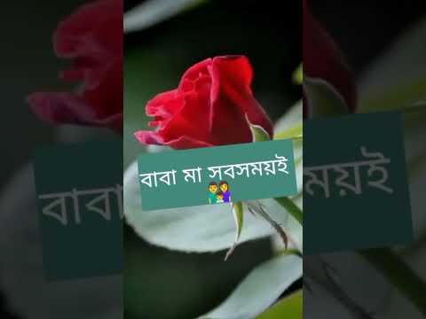 বয়স যতো বাড়বে 👨‍👩‍👦👩‍❤️‍💋‍👩 #shorts