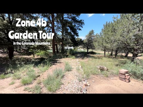 Early Spring Garden Tour in Zone 4b | Colorado Mountain Garden Paths & Expansion Plans