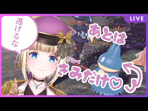 【ポケモンレジェンドアルセウス】ゴンべ！！どこにいる！！！【個人Vtuber / こはなゆめ】